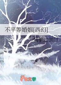 ��ƽ�Ȼ���[����]