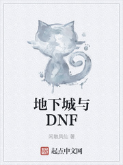 ���³���DNF